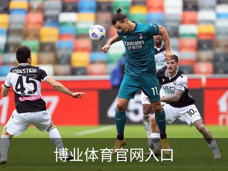 博业体育官网入口概况